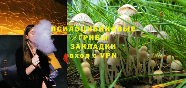 индика Армянск