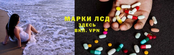 индика Армянск