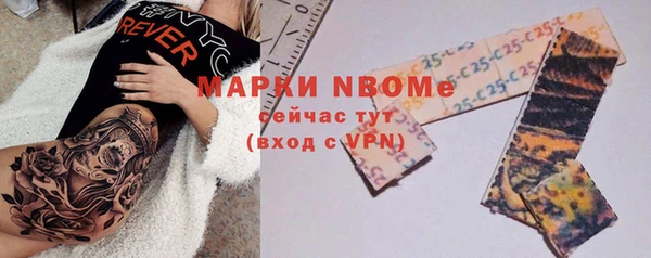 индика Армянск