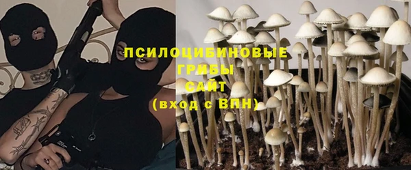 индика Армянск