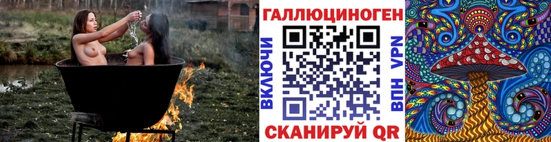 Купить где  Красный Кут  Псилоцибиновые грибы Psilocybe 